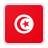 {T_NAME}国旗